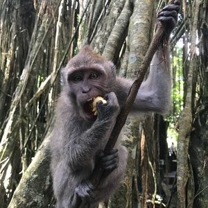 Meet your Posher, Robin